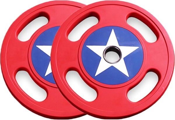 Olympic Weight Disc, 1 Pair Portable Weightlifting  Weight Panel Rubber Cast Iron Weights Home Gym Muscle Exercise